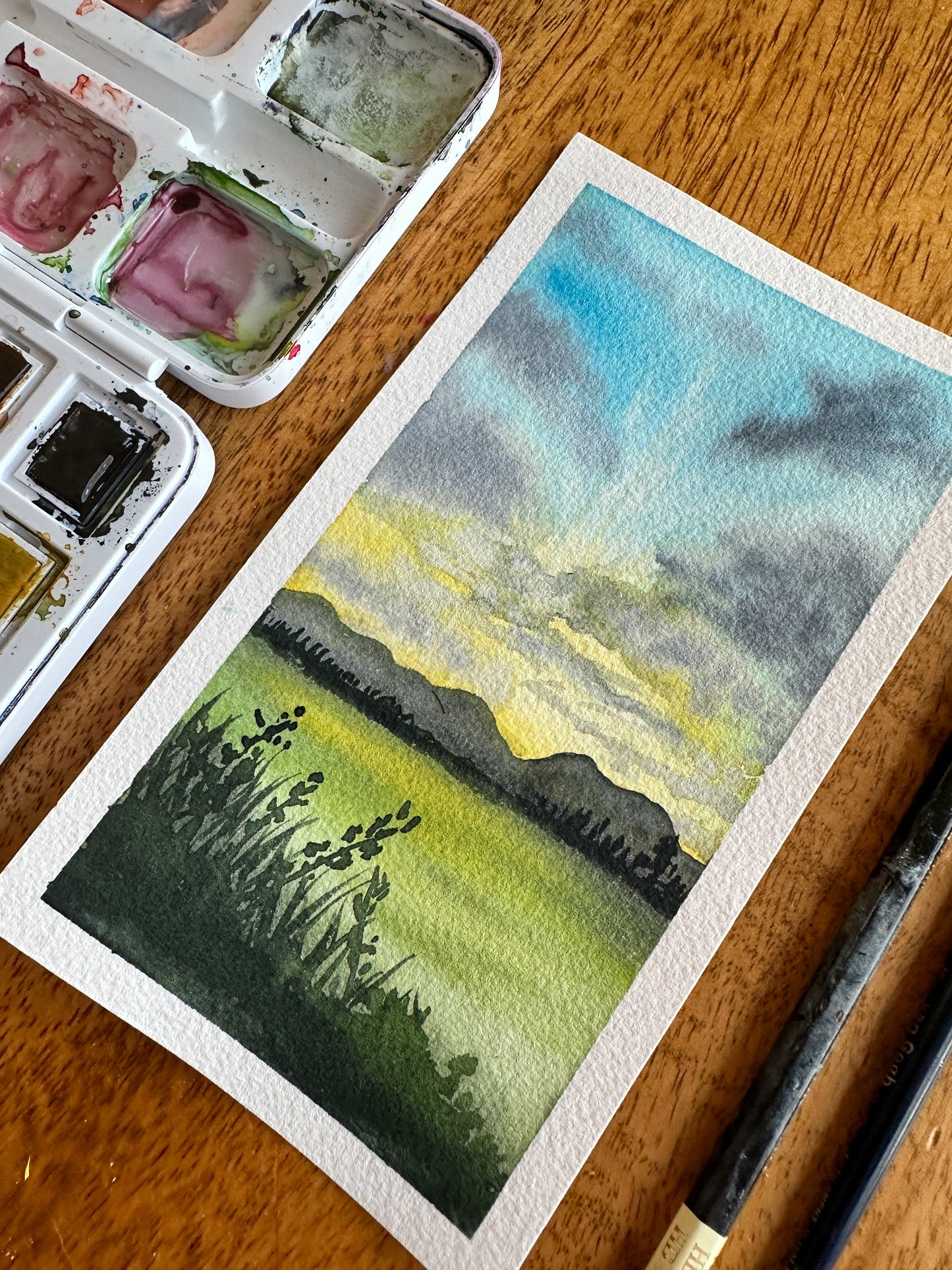 Tuesday KIDS Intro to Watercolor - Ages 8+